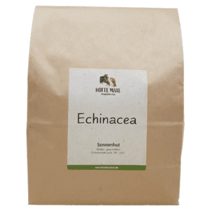 echinacea-1200-02