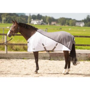 harrys-horse-mesh-pro-decke